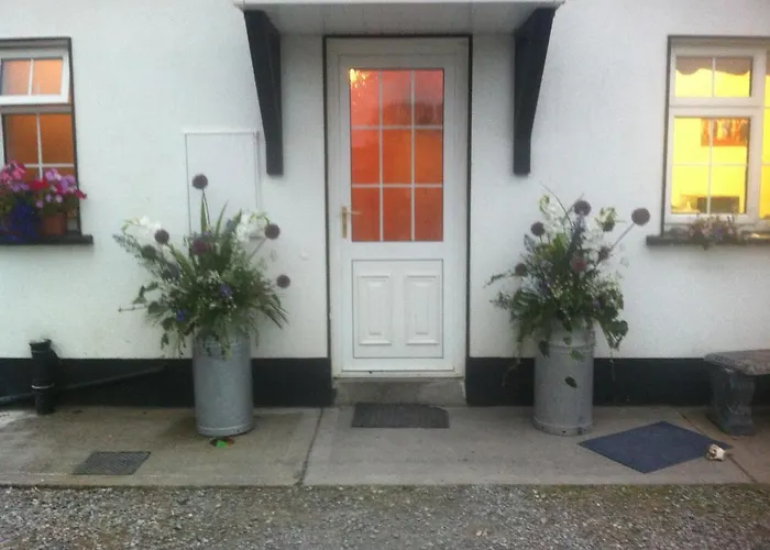 Belmont (Offaly) Places to Stay