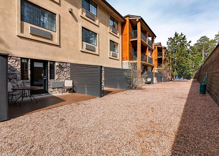 Evergreen Places to Stay