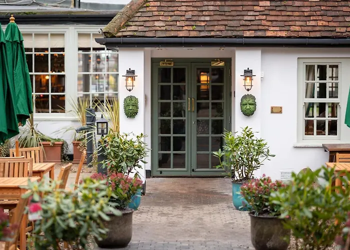 Harlow Places to Stay