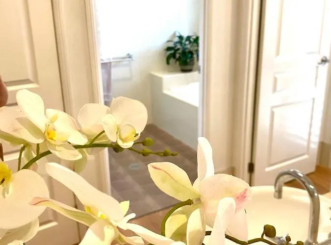 Casuarina Places to Stay