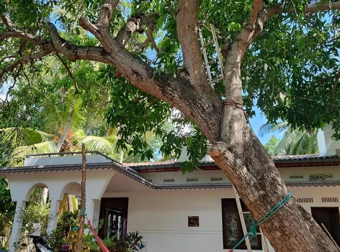 Trincomalee Places to Stay
