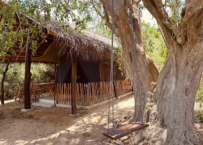 Yala Places to Stay