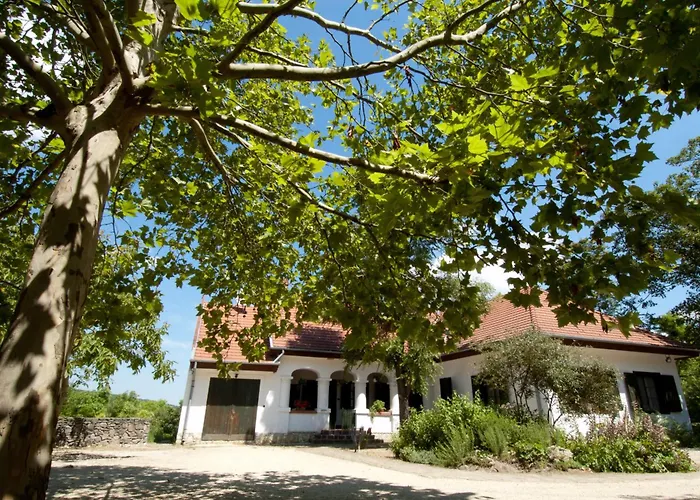Bonnya Places to Stay