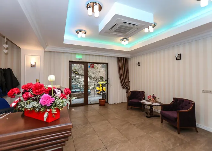 Baile Herculane Places to Stay