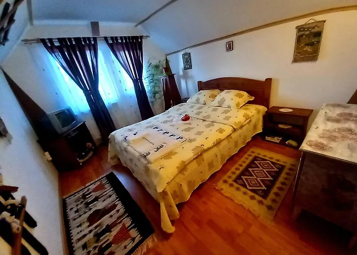 Zarnesti Places to Stay
