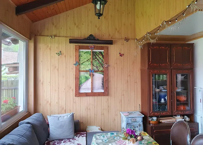 Zarnesti Places to Stay