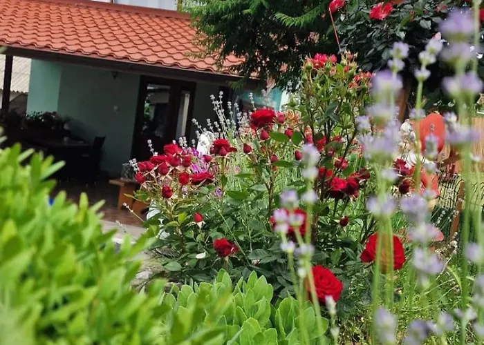 Mahmudia Places to Stay