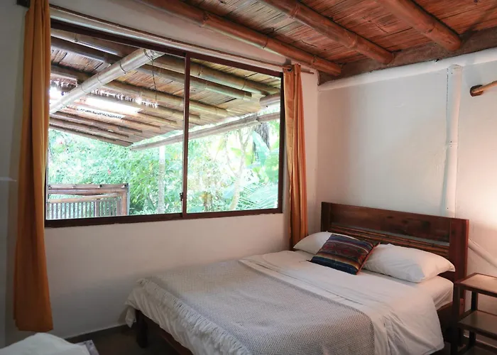 Mindo Places to Stay