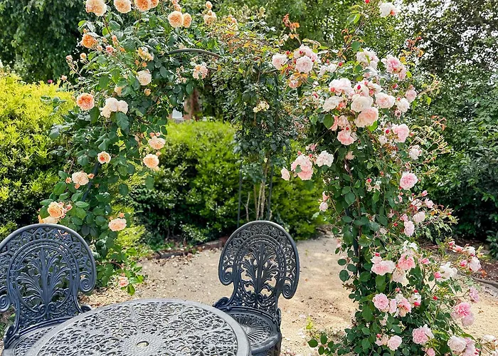 Shearwater Places to Stay