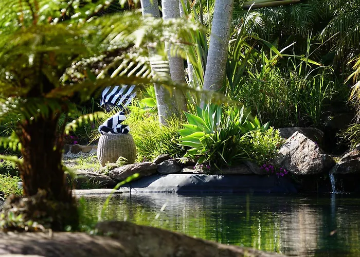 BAY OF ISLANDS Places to Stay