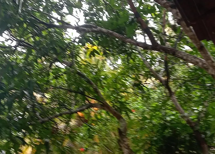Anuradhapura Places to Stay