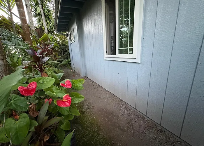 Hilo Places to Stay