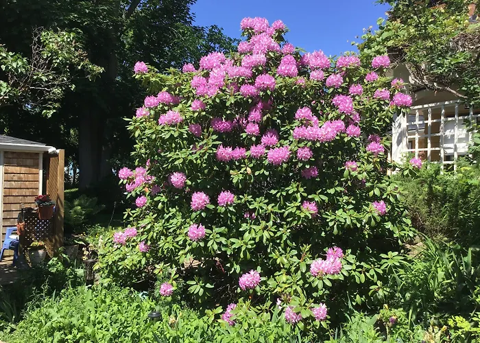 Wolfville Places to Stay