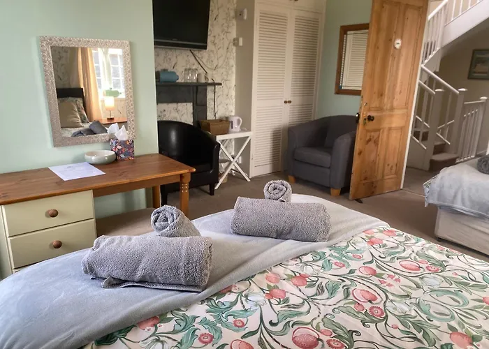 Lizard Places to Stay