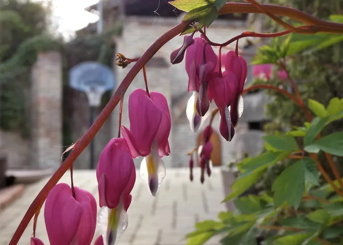 Vagashuta Places to Stay