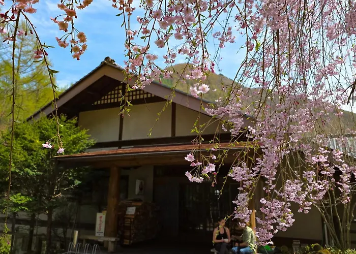Narai Places to Stay