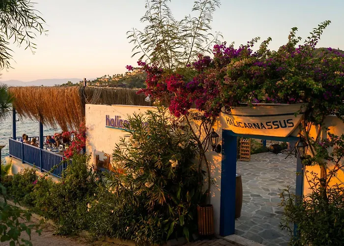 Torba Places to Stay
