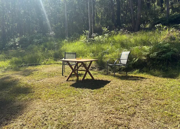 Bungwahl Places to Stay