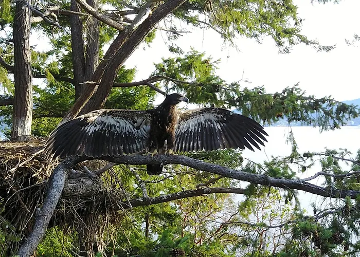 Saltspring Island Places to Stay