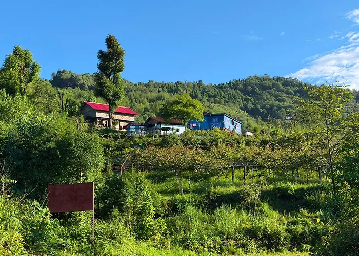 Ilam Places to Stay