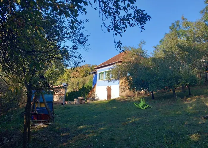 Straja (Cluj) Places to Stay