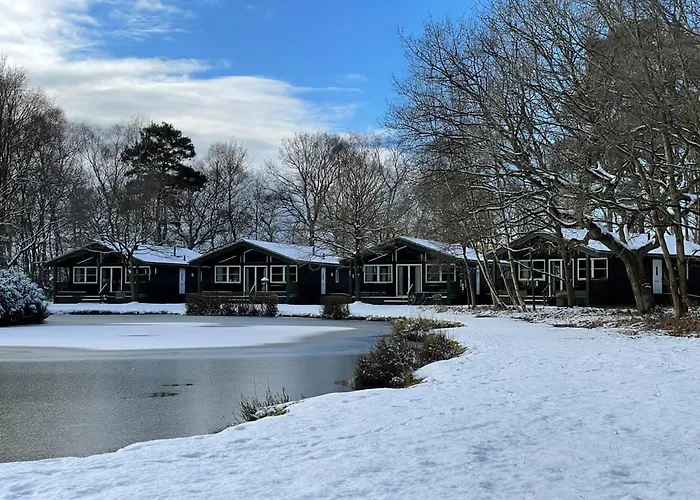 Flaxton Places to Stay