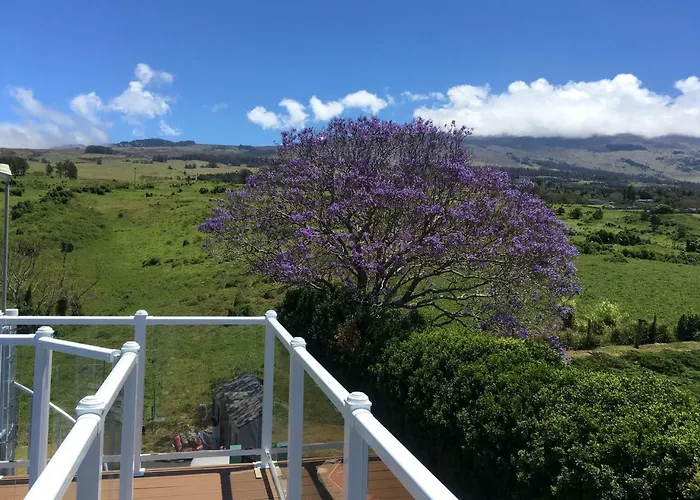 Kula Places to Stay