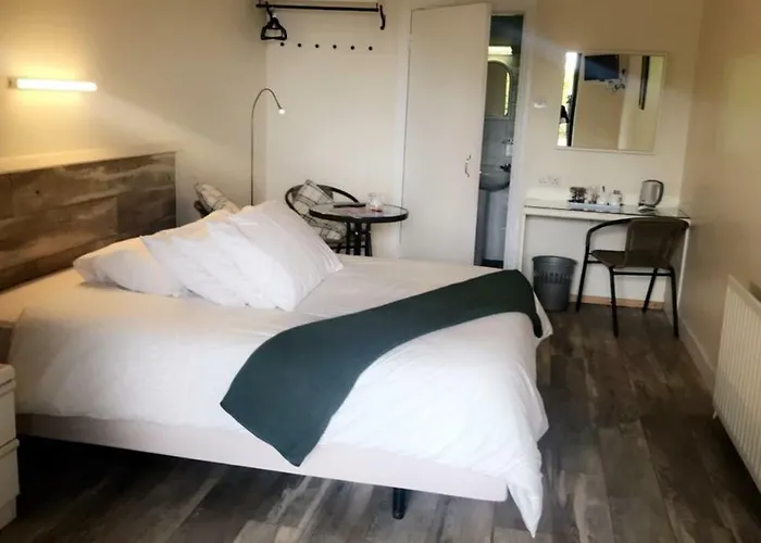 Carlingford Places to Stay