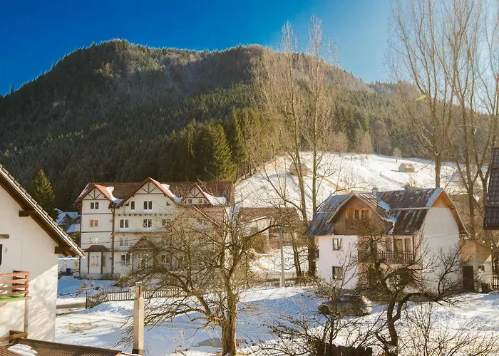 Moeciu De Sus Places to Stay